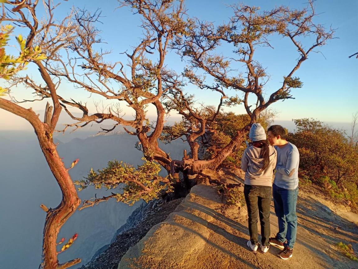 Thalia Homestay & Ijen Bromo Tour Banyuwangi  Exterior foto