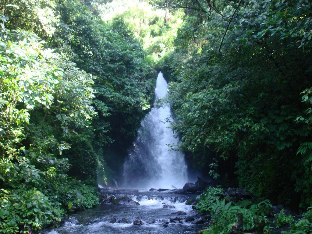 Thalia Homestay & Ijen Bromo Tour Banyuwangi  Exterior foto