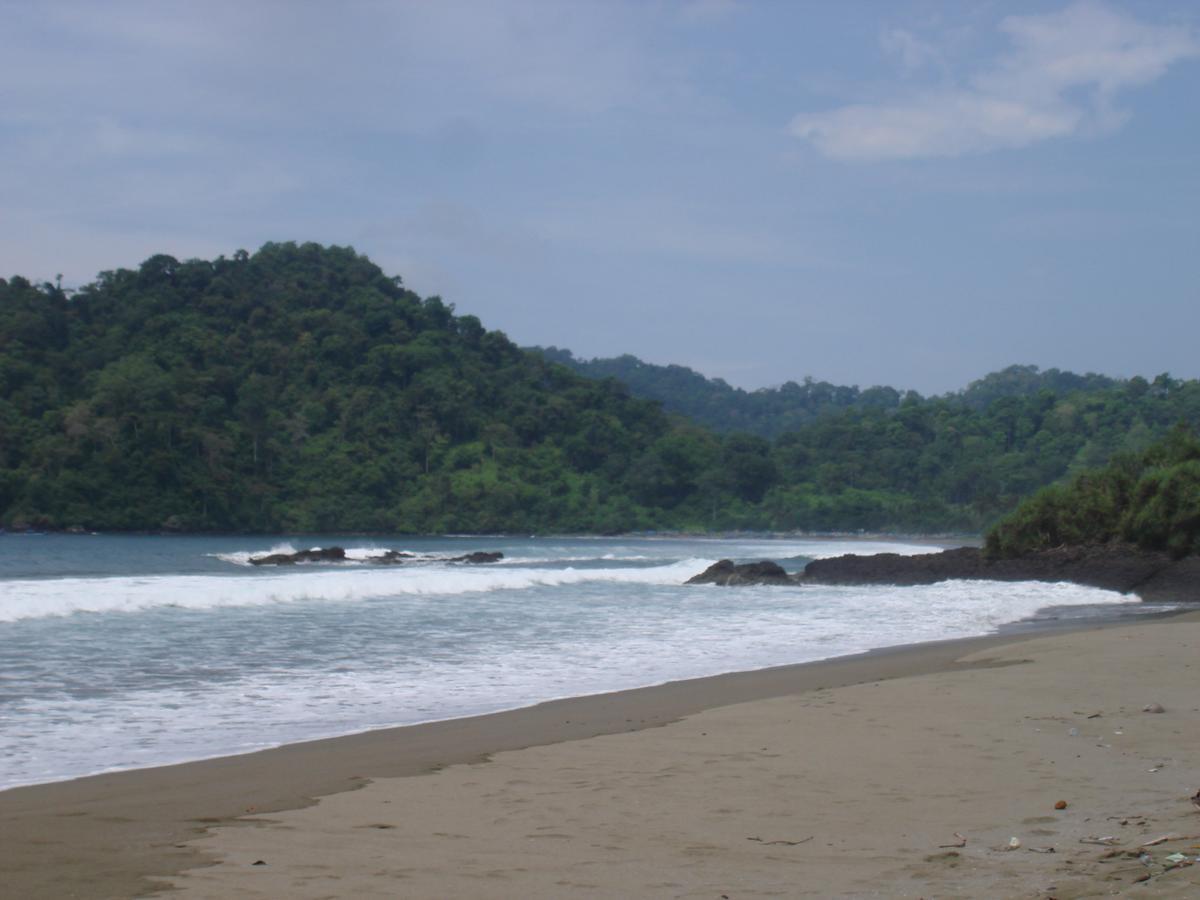 Thalia Homestay & Ijen Bromo Tour Banyuwangi  Exterior foto