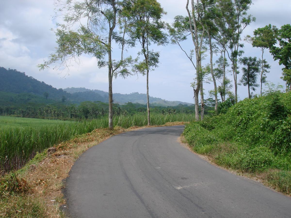 Thalia Homestay & Ijen Bromo Tour Banyuwangi  Exterior foto