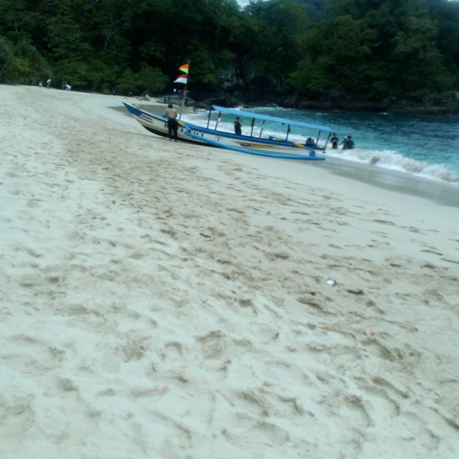 Thalia Homestay & Ijen Bromo Tour Banyuwangi  Exterior foto