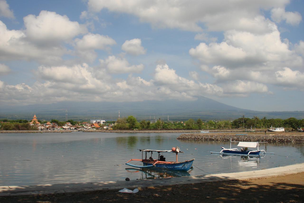 Thalia Homestay & Ijen Bromo Tour Banyuwangi  Exterior foto