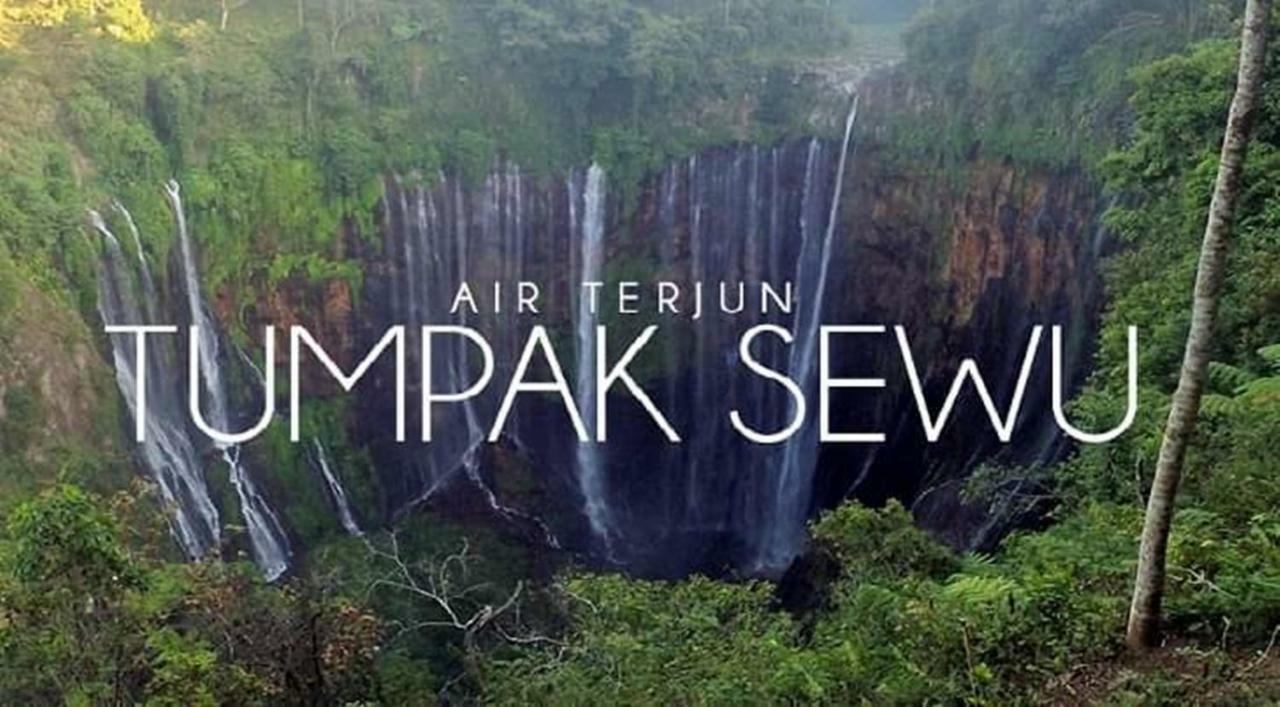 Thalia Homestay & Ijen Bromo Tour Banyuwangi  Exterior foto